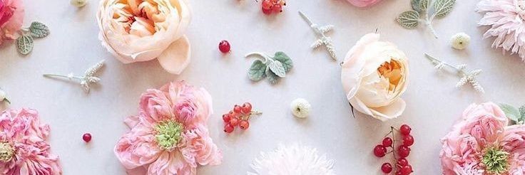 sara_ciru's profile banner image