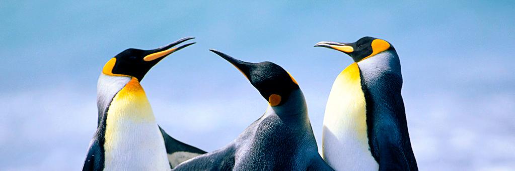 ahuvy's profile banner image