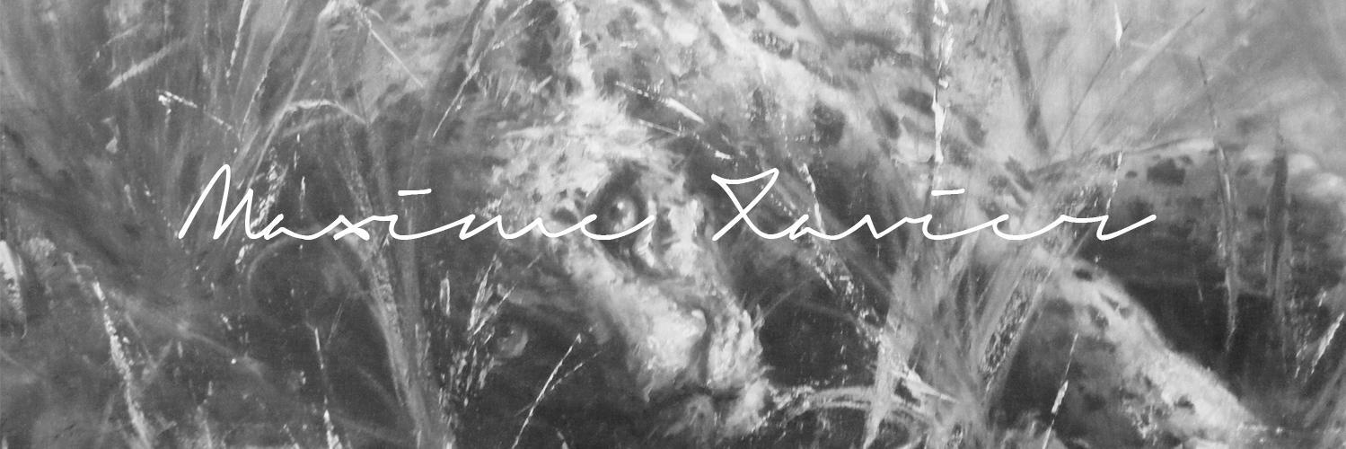 maximexavierart's profile banner image