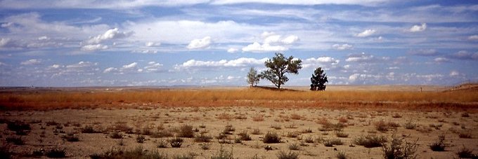 TJ_WYO's profile banner image