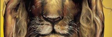rd2479's profile banner image