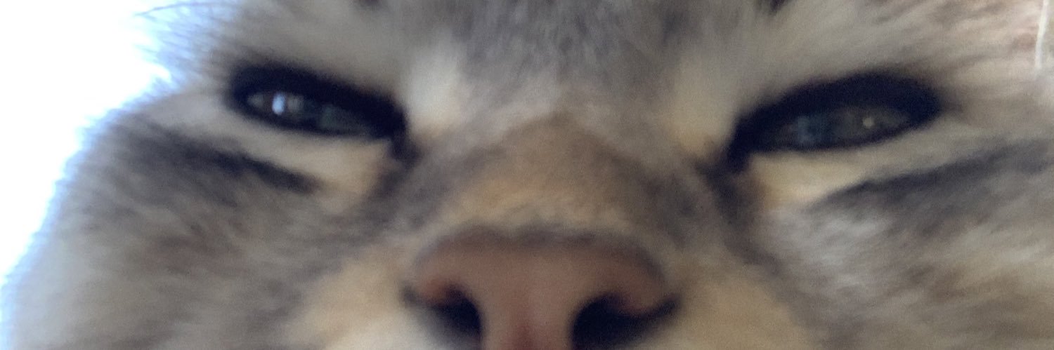 its_leonie's profile banner image