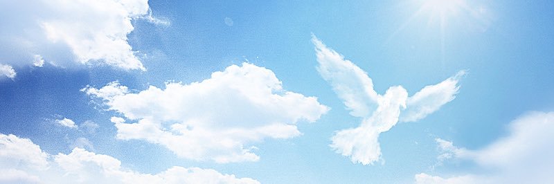 WafaAlharbi01's profile banner image