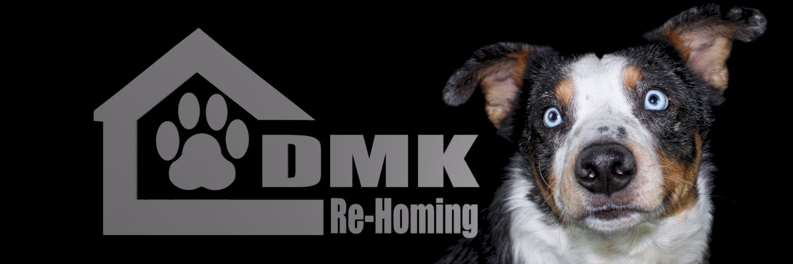 DmkRehoming's profile banner image