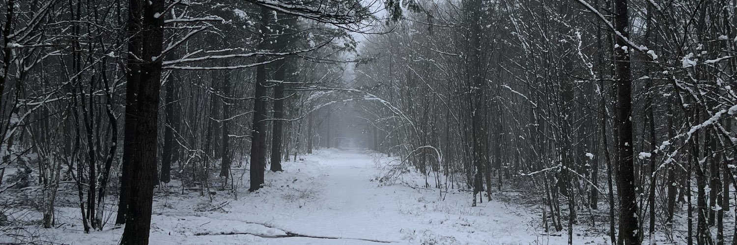 MarcoWeip's profile banner image