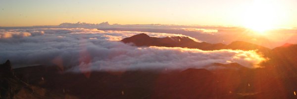 caccioly Profile Banner