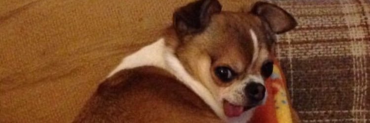 alienburgers's profile banner image