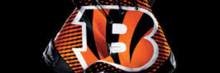 CCE250's profile banner image
