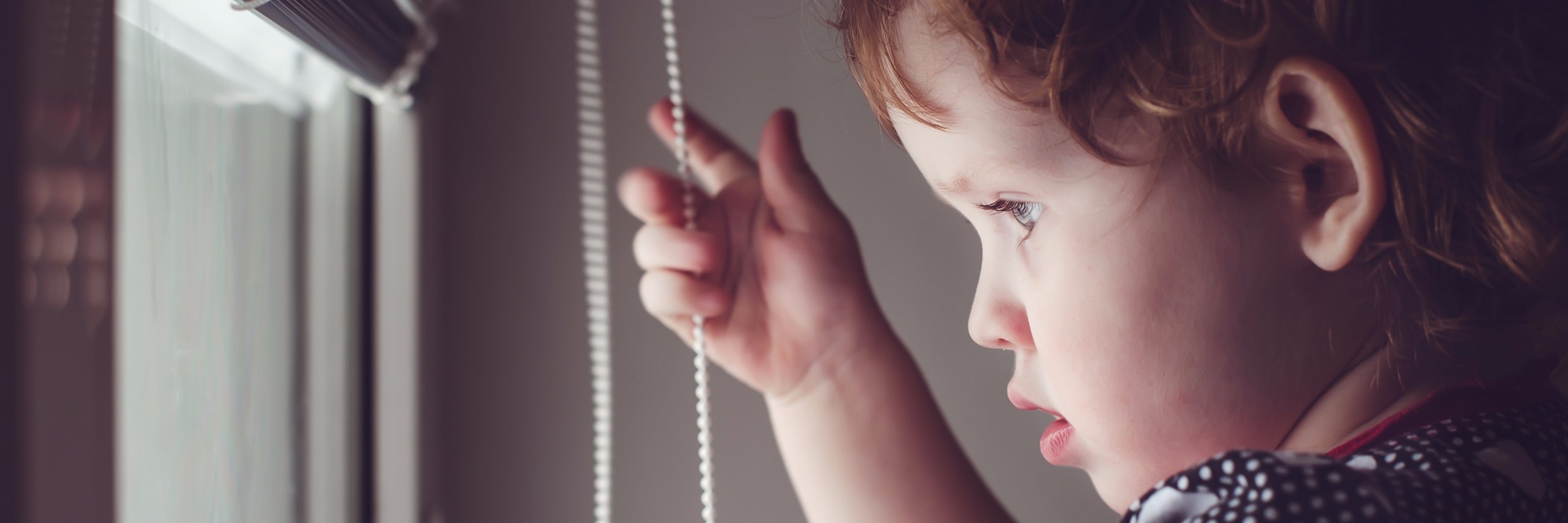 Window Coverings banner