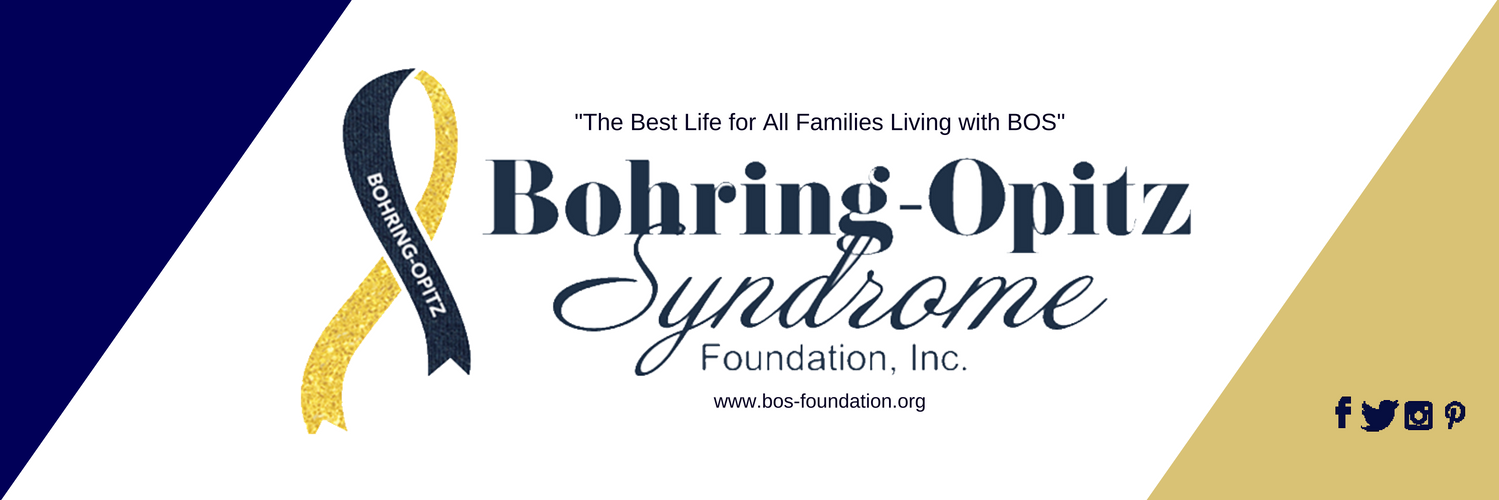 bohring_opitz's profile banner image