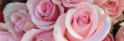 Anasol83's profile banner image