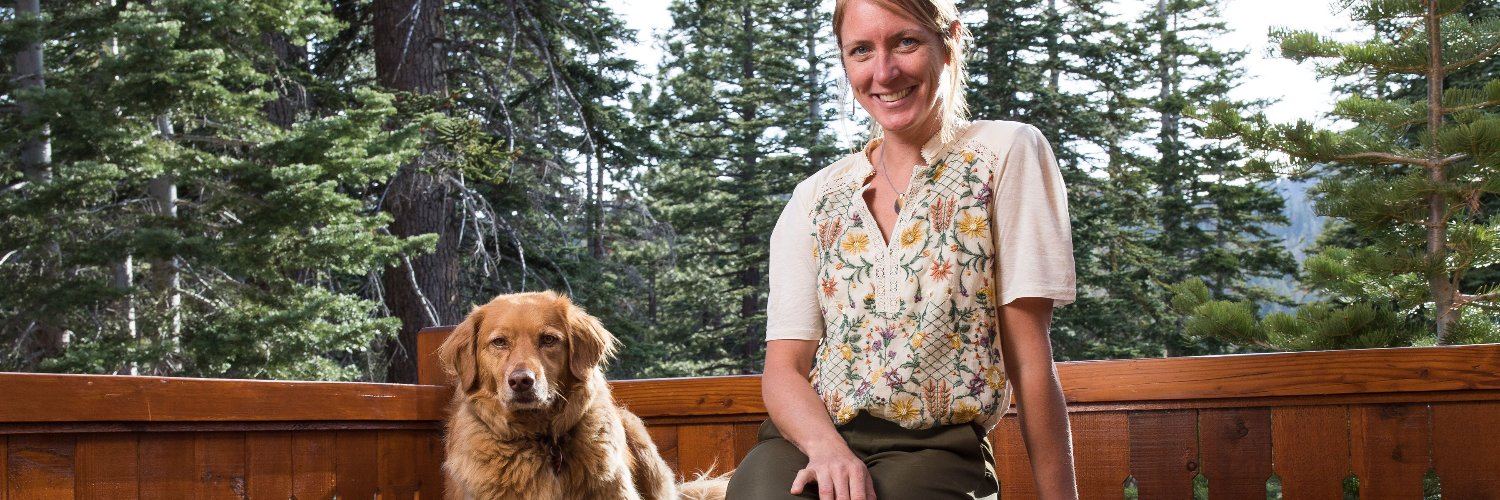 MammothPhysio's profile banner image
