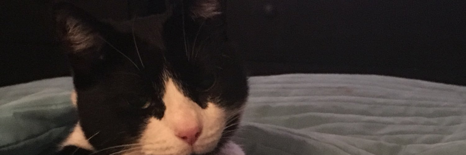 picklescat72's profile banner image