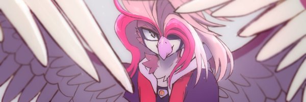 CodemanBirdy Profile Banner