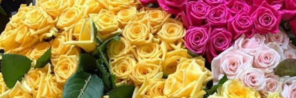 Noormostafaali's profile banner image