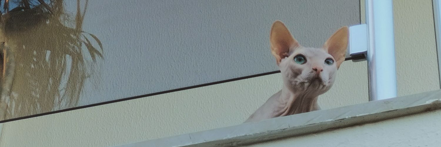 sanctoes's profile banner image