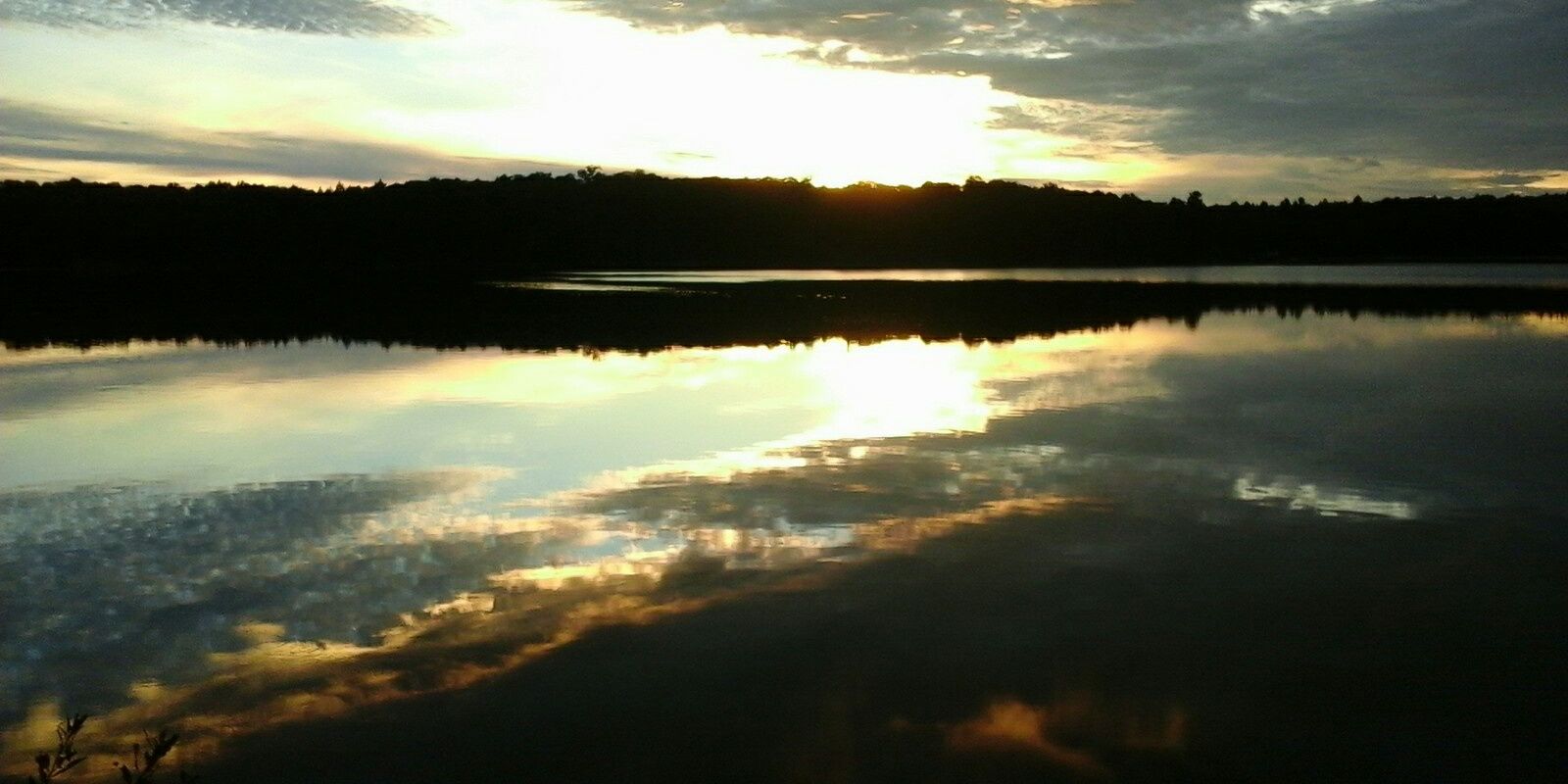 DVallentgoed's profile banner image
