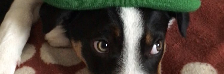 Meinir Morris banner