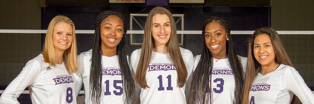 NSUDemonsVB15's profile banner image