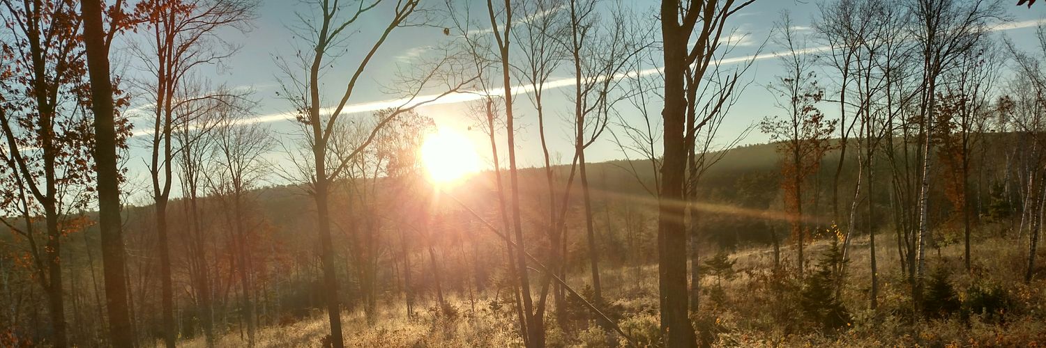 jld121209's profile banner image