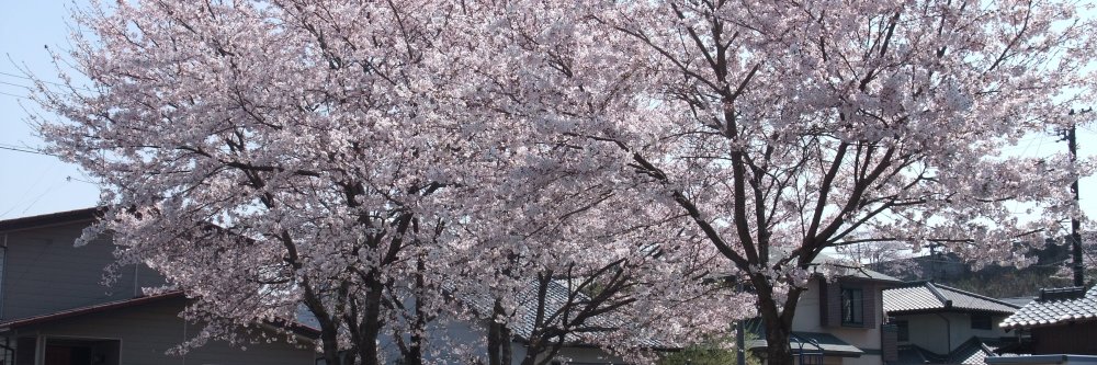 hirohirobon8's profile banner image