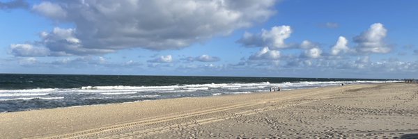 E_Werthmann Profile Banner