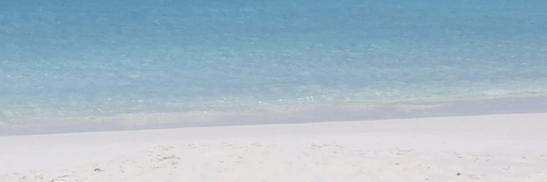 Ricky Gwilliam banner