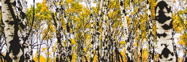 thereborn_mk Profile Banner