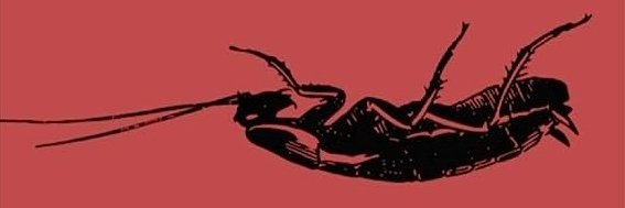 pan_dubito's profile banner image