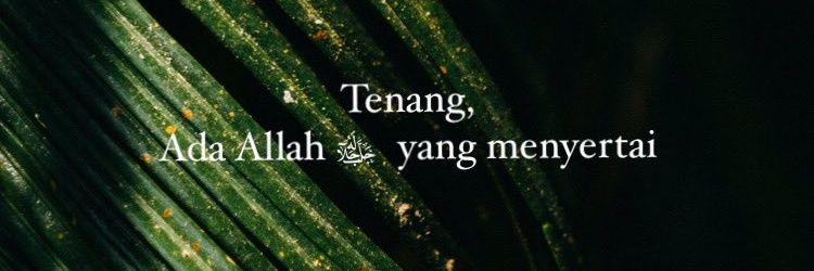 lismanale's profile banner image