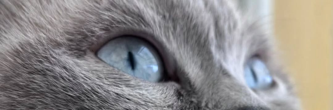 htcdgnnn's profile banner image