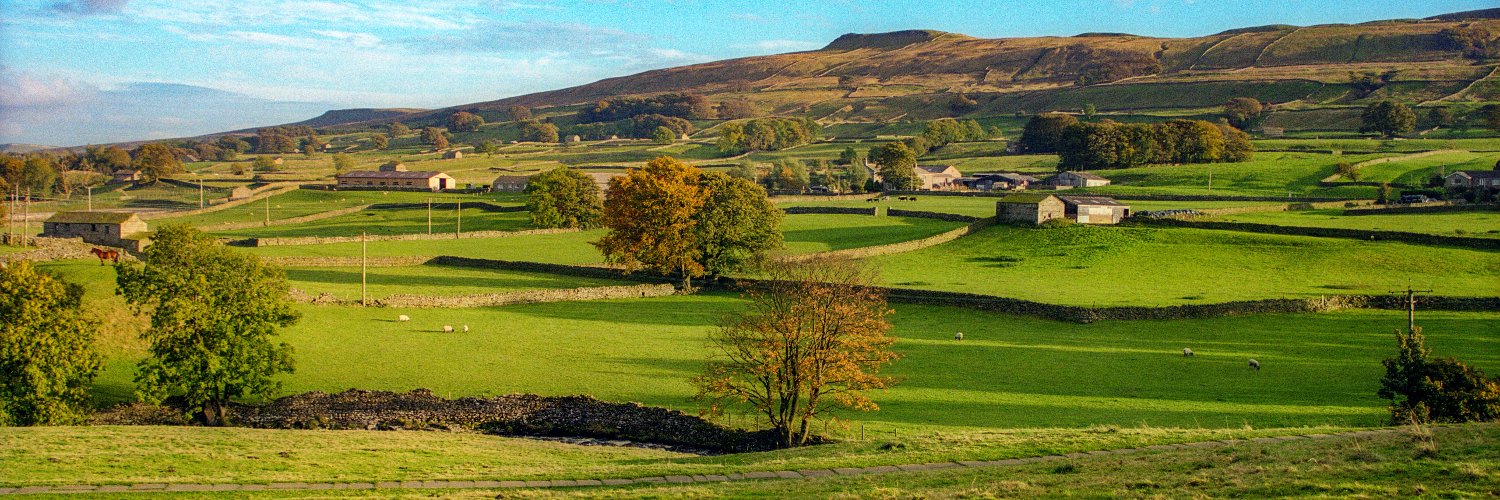 Institute for Name-Studies banner