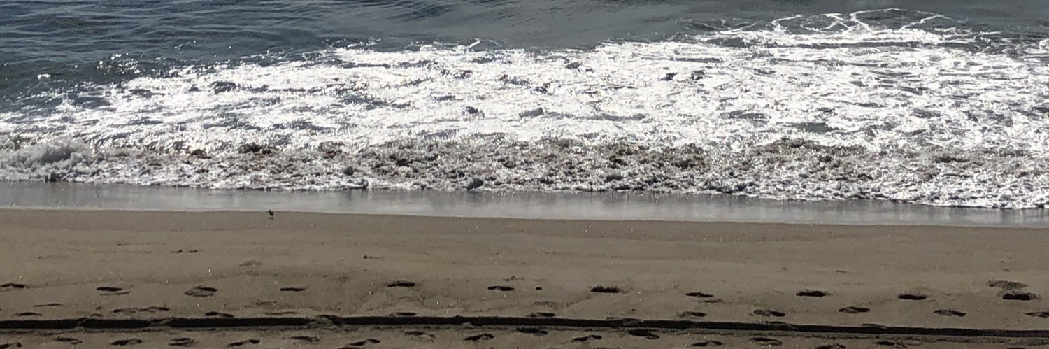 NicholeConrad13's profile banner image