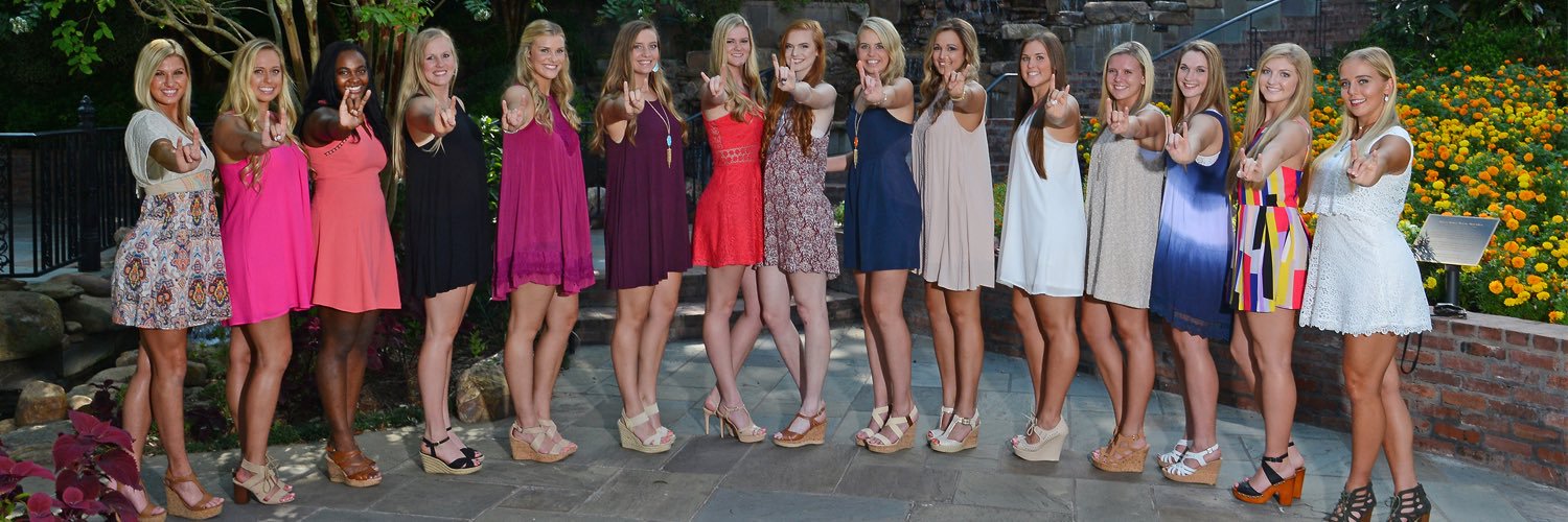NSUDemonsVB1's profile banner image