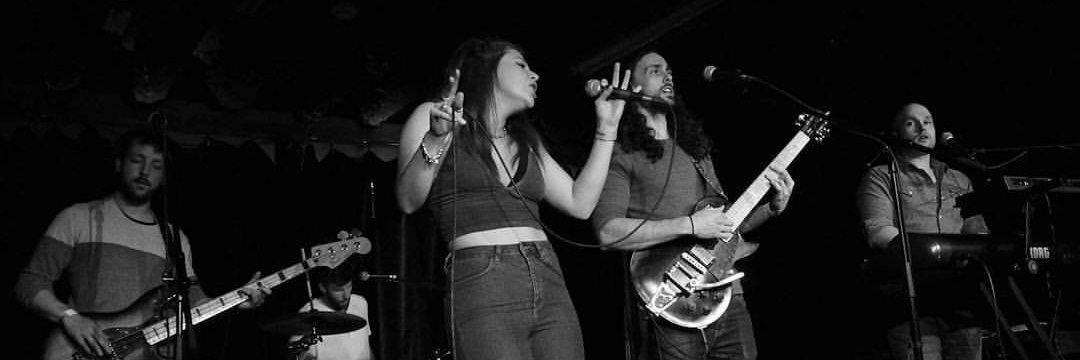 BitterNorthBand's profile banner image