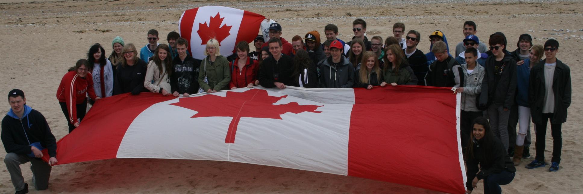 Terry Hoganson banner