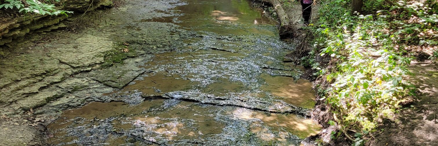 Kyle Simonsen banner