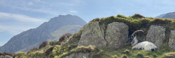 Worthymedic Profile Banner