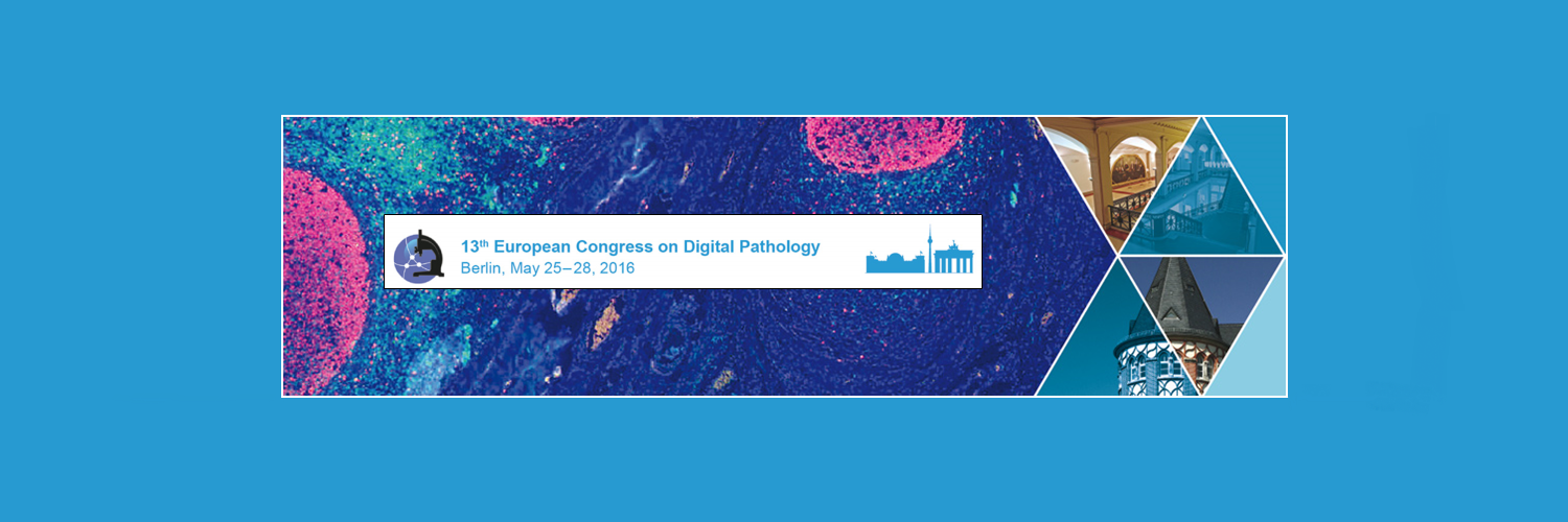 ecdp2016's profile banner image