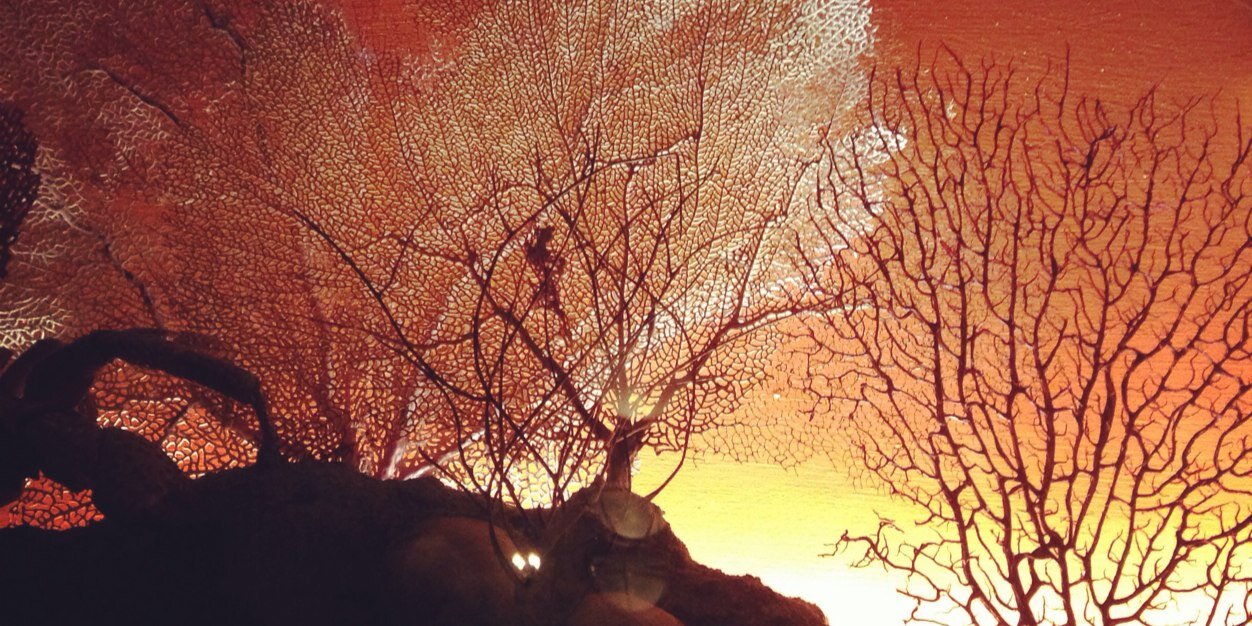 simsie's profile banner image