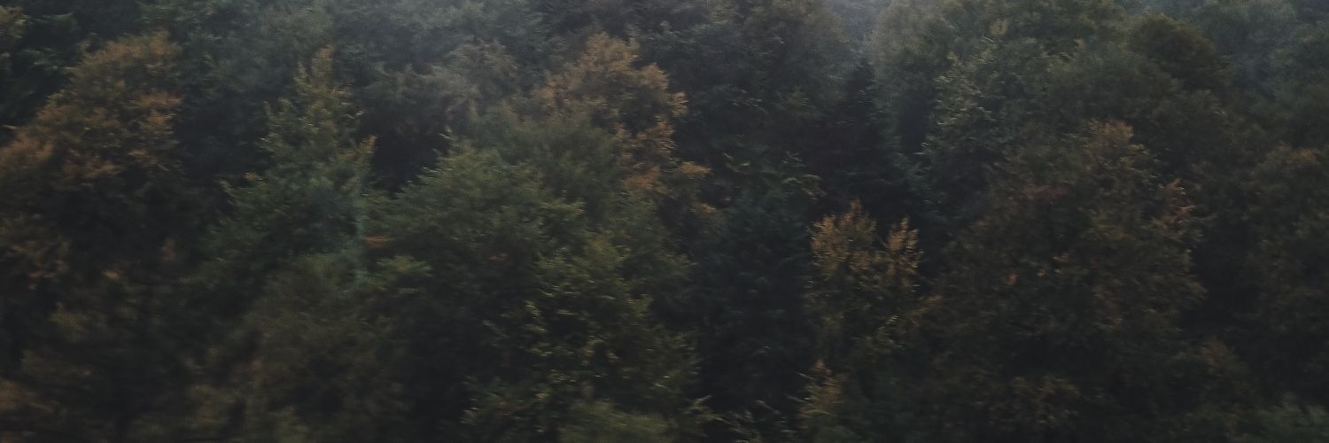 Griaw's profile banner image