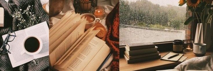 alexia_stephan's profile banner image