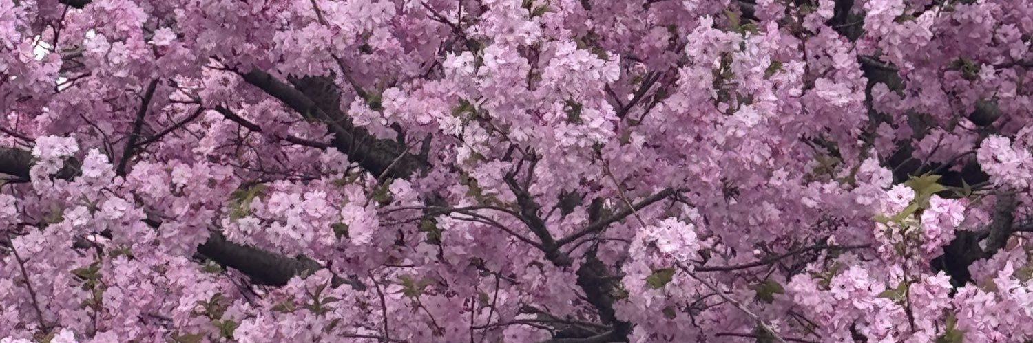 Rahul PAWAR ( राहुल पवार ) banner