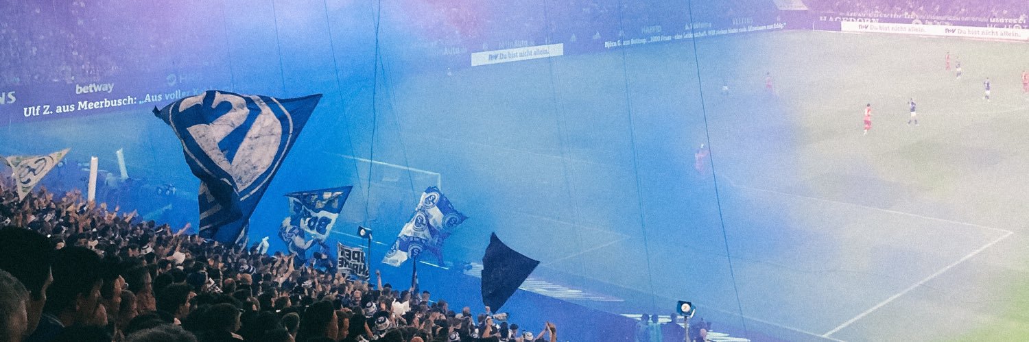 Mirko banner