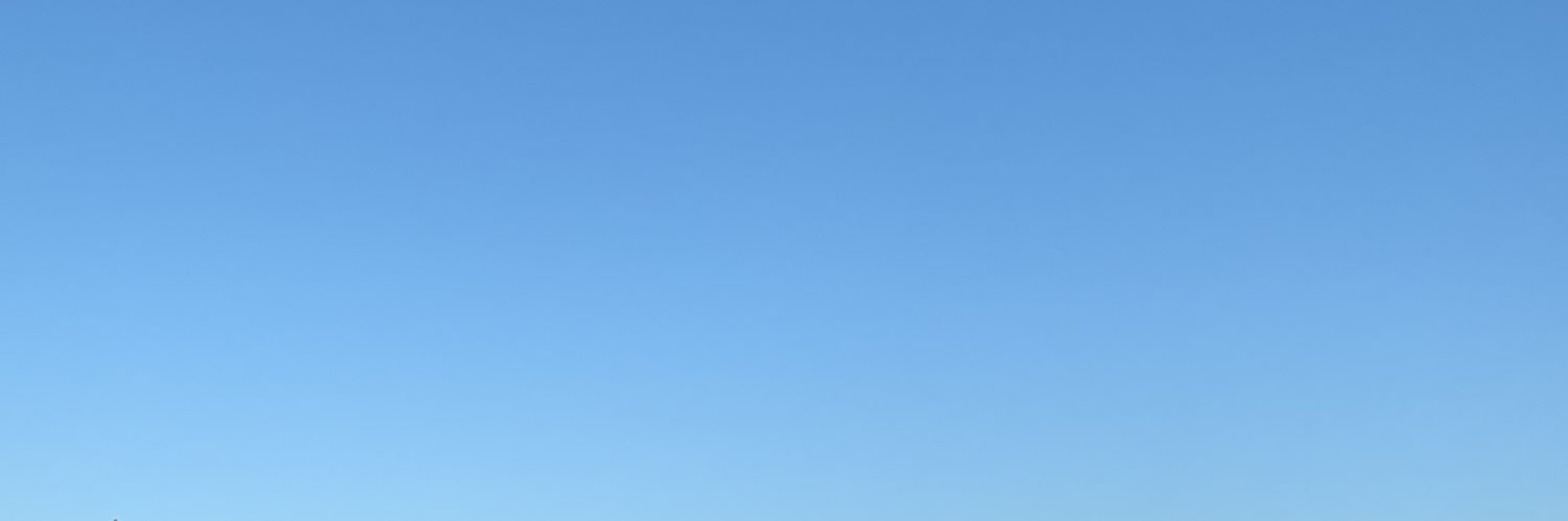 nmallmann__'s profile banner image