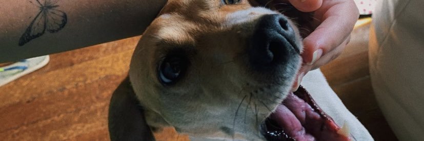 luizaalvarez_'s profile banner image