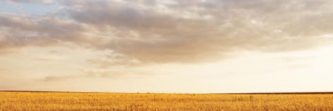 GregSeremetis's profile banner image
