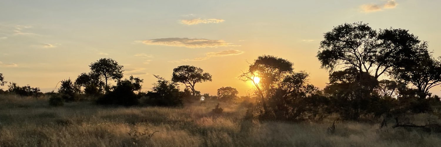 Dr Phil McNamee banner