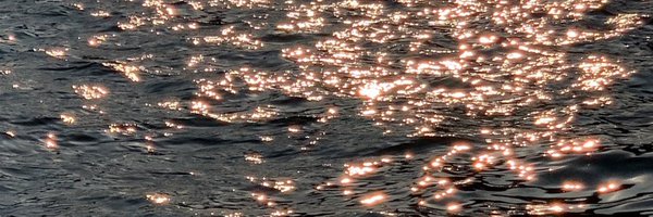 _disable_ Profile Banner