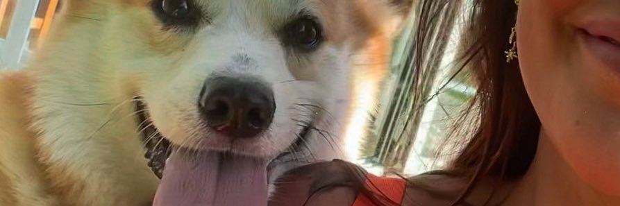 chack tattoos och snyyga tuttar banner